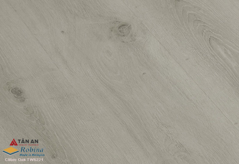 Sàn gỗ công nghiệp Robina TWS221