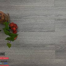 Sàn gỗ Fortune 903